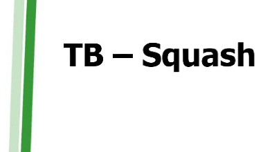 Neues Trainingsangebot